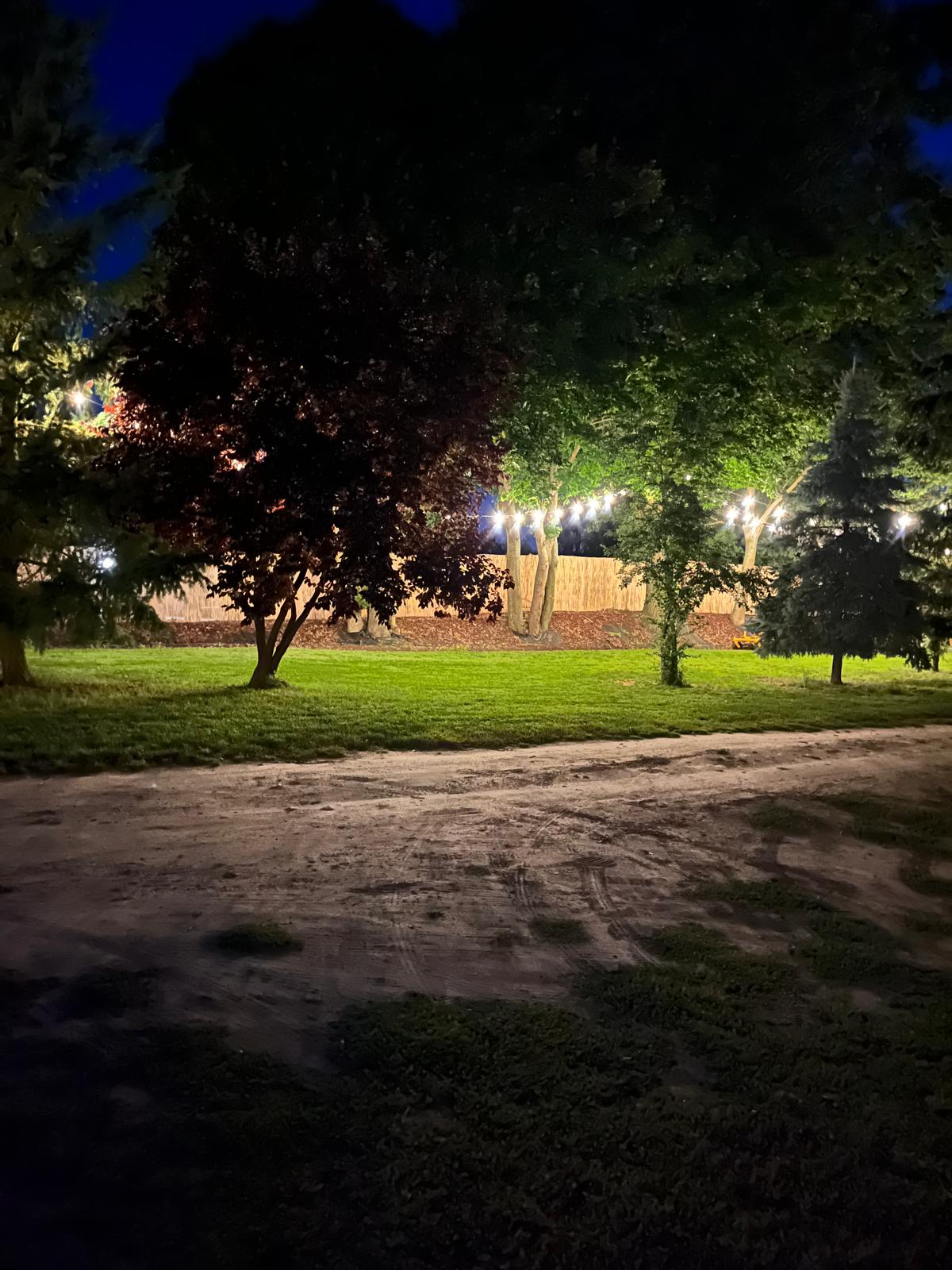 Noclegi Laura Dworzysko koło Świecia – pokoje, mieszkania i otoczenie obiektu – zdjęcie 13