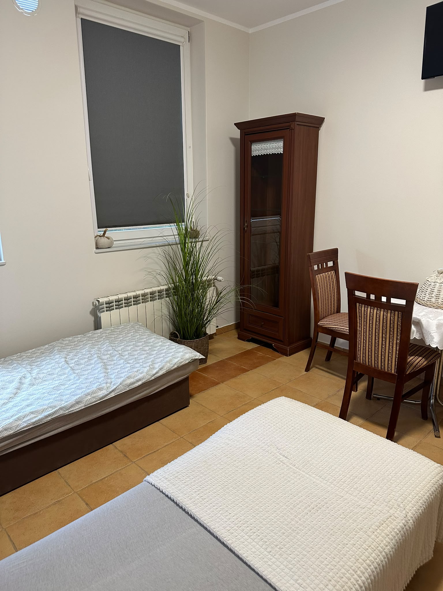 Noclegi Laura Dworzysko koło Świecia – pokoje, mieszkania i otoczenie obiektu – zdjęcie 30